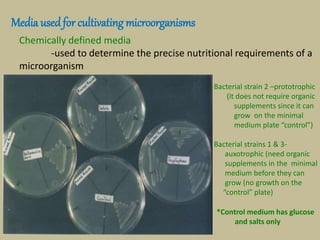 Prototroph Bio 127 lec 4a Microbiology Topic: Nutrition and Cultivation of ...