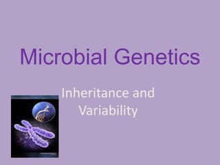 Microbial Genetics
Inheritance and
Variability
 