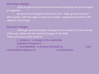 Phenotypic changes
-both the genotype and the environment influence the phenotypeof
an organism
eg. Bacteria of the genus Azomonas form large, gummy colonies
when grown with the sugar sucrose and smaller, nongummy colonies in the
absence of this sugar
Genotypic changes
-although some phenotypic changes are the result of Environmental
influences, others are the result of changes in the DNA.
These can occur as the result of:
1. mutation – a change in the nucleotide
sequence of a gene or
2. recombination –a process that leads to new
combinations of genes on a chromosome
 