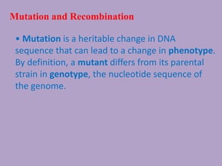 Mutation and Recombination
• Mutation is a heritable change in DNA
sequence that can lead to a change in phenotype.
By definition, a mutant differs from its parental
strain in genotype, the nucleotide sequence of
the genome.
 