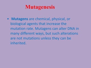 Mutagenesis
• Mutagens are chemical, physical, or
biological agents that increase the
mutation rate. Mutagens can alter DNA in
many different ways, but such alterations
are not mutations unless they can be
inherited.
 