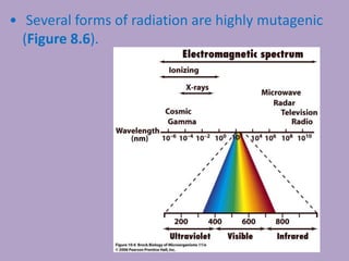 • Several forms of radiation are highly mutagenic
(Figure 8.6).
 