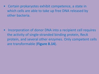 • Certain prokaryotes exhibit competence, a state in
which cells are able to take up free DNA released by
other bacteria.
• Incorporation of donor DNA into a recipient cell requires
the activity of single-stranded binding protein, RecA
protein, and several other enzymes. Only competent cells
are transformable (Figure 8.14).
 