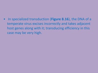 • In specialized transduction (Figure 8.16), the DNA of a
temperate virus excises incorrectly and takes adjacent
host genes along with it; transducing efficiency in this
case may be very high.
 