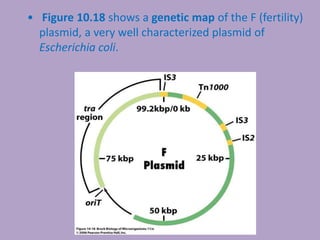 • Figure 10.18 shows a genetic map of the F (fertility)
plasmid, a very well characterized plasmid of
Escherichia coli.
 