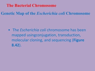 The Bacterial Chromosome
Genetic Map of the Escherichia coli Chromosome
• The Escherichia coli chromosome has been
mapped usingconjugation, transduction,
molecular cloning, and sequencing (Figure
8.42).
 