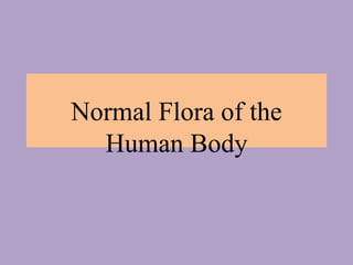 Normal Flora of the
Human Body
 
