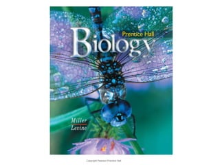 Copyright Pearson Prentice Hall 
Biology 
 
