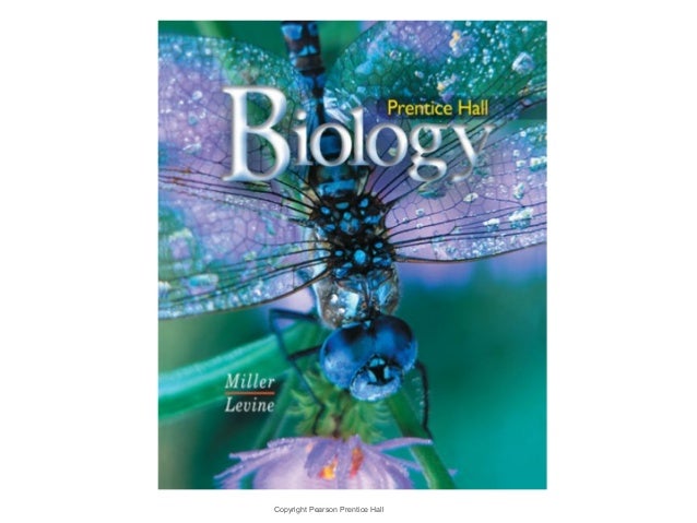 Section 12 3 rna and protein synthesis worksheet answer key