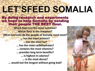 LET’SFEED SOMALIA By doing research and experiments we hope to help Somalia by sending their people THE BEST flour. Which flour has the most nutrition? Which flour is the cheapest? What nutrients do the people of Somalia need most? … has the most protein? … has the most fat? … has the most carbohydrates? … contains the most vitamins? … provides long term benefits? … is highest in calories? … is the most dense? … would last the longest without going bad? 
