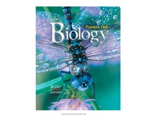 Copyright Pearson Prentice Hall
Biology
Biology
 
