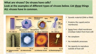 Bio130 Chapter 1 Lecture Slides - Introduction to Living Organisms ...