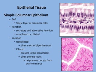 Bio 141 Anatomy and physiology slides CH5 | PPTX