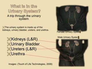 It happens in women more often than men.