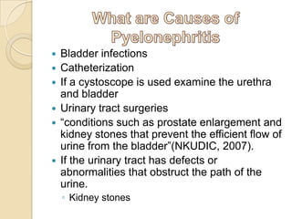 “Infections usually ascend from the genital area through the urethra to the bladder, up the ureters, into the kidneys”(Shankel,2007).What is in the Urinary System?A trip through the urinary system.The urinary system is made up of the kidneys, urinary bladder, ureters, and urethra.Female Urinary System Male Urinary SystemKidneys (L&R)