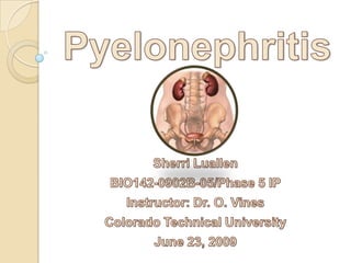 Pyelonephritis Sherri Luallen BIO142-0902B-05/Phase 5 IP Instructor: Dr. O. Vines Colorado Technical University June 23, 2009 