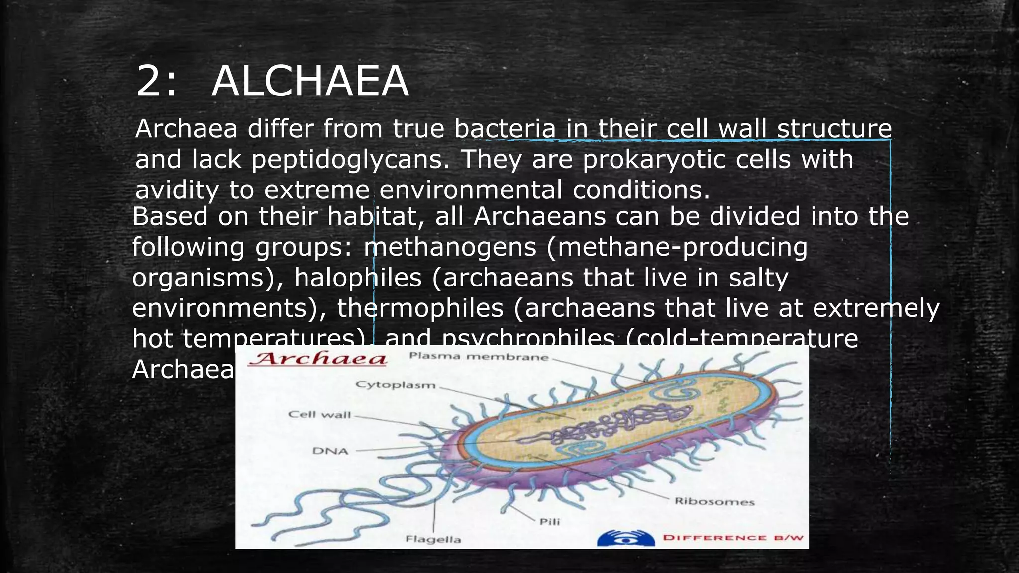 MICRO ORGANISMS,TYPES AND THEIR GROWTH | PPTX