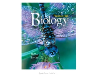 Biology 
Copyright Pearson Prentice Hall 
Biology 
 