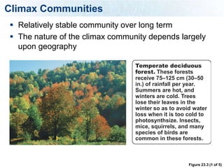 Climax Communities
 Relatively stable community over long term
 The nature of the climax community depends largely
  upon geography

                                 Temperate deciduous
                                 forest. These forests
                                 receive 75–125 cm (30–50
                                 in.) of rainfall per year.
                                 Summers are hot, and
                                 winters are cold. Trees
                                 lose their leaves in the
                                 winter so as to avoid water
                                 loss when it is too cold to
                                 photosynthsize. Insects,
                                 mice, squirrels, and many
                                 species of birds are
                                 common in these forests.



                                                     Figure 23.3 (1 of 5)
 