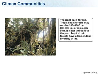 Climax Communities


                     Tropical rain forest.
                     Tropical rain forests may
                     receive 200–1000 cm
                     (80–400 in.) of rain each
                     year. It is hot throughout
                     the year. Tropical rain
                     forests have a tremendous
                     diversity of life.




                                       Figure 23.3 (5 of 5)
 