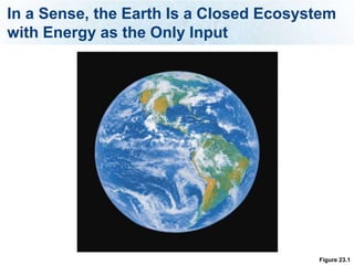 In a Sense, the Earth Is a Closed Ecosystem
with Energy as the Only Input




                                        Figure 23.1
 