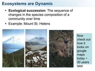 Ecosystems are Dynamic
  Ecological succession: The sequence of
   changes in the species composition of a
   community over time
  Example: Mount St. Helens


                                             Now
                                             check out
                                             how it
                                             looks on
                                             google
                                             maps
                                             today ~
                                             30 years
                                             later
 