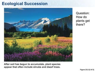 Ecological Succession

                        Question:
                        How do
                        plants get
                        there?




                          Figure 23.2 (2 of 2)
 