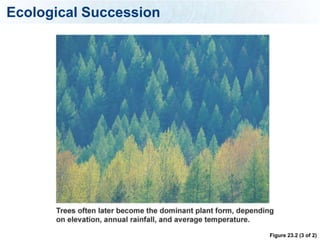 Ecological Succession




                        Figure 23.2 (3 of 2)
 