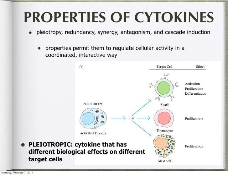 Bio 151 lec 10 cytokines