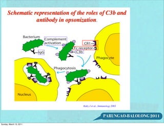 PARUNGAO-BALOLONG 2011
Sunday, March 13, 2011
 