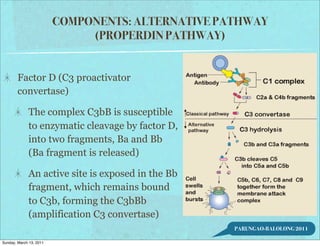COMPONENTS: ALTERNATIVE PATHWAY
                              (PROPERDIN PATHWAY)


        Factor D (C3 proactivator
        convertase)

             The complex C3bB is susceptible
             to enzymatic cleavage by factor D,
             into two fragments, Ba and Bb
             (Ba fragment is released)

             An active site is exposed in the Bb
             fragment, which remains bound
             to C3b, forming the C3bBb
             (amplification C3 convertase)
                                                   PARUNGAO-BALOLONG 2011

Sunday, March 13, 2011
 
