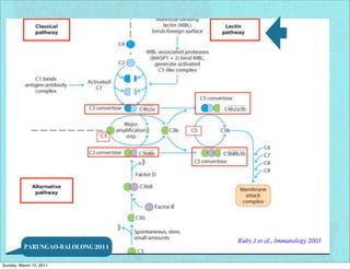 PARUNGAO-BALOLONG 2011

Sunday, March 13, 2011
 
