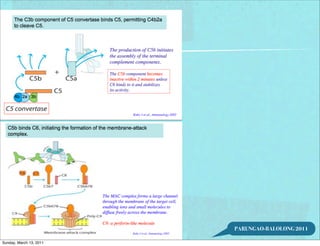 PARUNGAO-BALOLONG 2011

Sunday, March 13, 2011
 