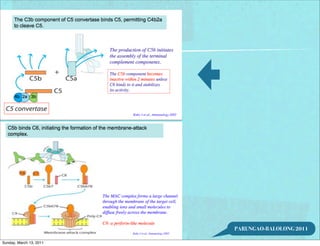 PARUNGAO-BALOLONG 2011

Sunday, March 13, 2011
 
