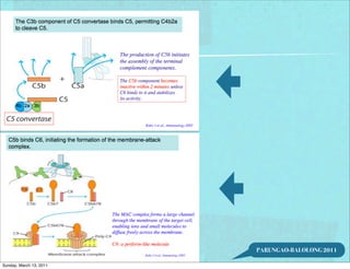PARUNGAO-BALOLONG 2011

Sunday, March 13, 2011
 