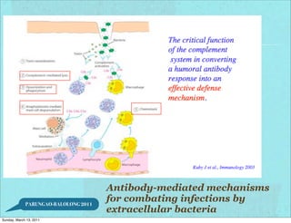 Antibody-mediated mechanisms
             PARUNGAO-BALOLONG 2011
                                      for combating infections by
                                      extracellular bacteria
Sunday, March 13, 2011
 