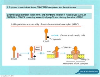 PARUNGAO-BALOLONG 2011


Sunday, March 13, 2011
 