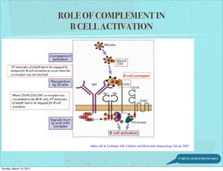 ROLE OF COMPLEMENT IN
                           B CELL ACTIVATION




                                                 PARUNGAO-BALOLONG 2011


Sunday, March 13, 2011
 