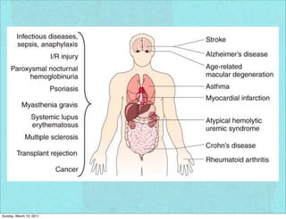 Sunday, March 13, 2011
 