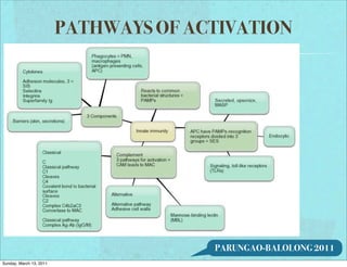 PATHWAYS OF ACTIVATION




                                       PARUNGAO-BALOLONG 2011
Sunday, March 13, 2011
 