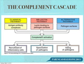 THE COMPLEMENT CASCADE




                            PARUNGAO-BALOLONG 2011
Sunday, March 13, 2011
 