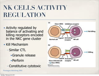NK CELLS ACTIVITY
    REGULATION
    • Activity regulated by
      balance of activating and
      killing receptors encoded
      in the NKC gene cluster
    • Kill Mechanism
          – Similar CTL
                •Granule release
                •Perforin
          – Constitutive cytotoxic
    Parungao-Balolong 2011

Sunday, February 20, 2011
 