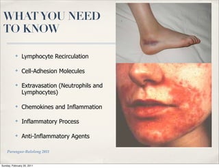 WHAT YOU NEED
 TO KNOW

          ✤
               Lymphocyte Recirculation

          ✤
               Cell-Adhesion Molecules

          ✤
               Extravasation (Neutrophils and
               Lymphocytes)

          ✤
               Chemokines and Inflammation

          ✤
               Inflammatory Process

          ✤
               Anti-Inflammatory Agents

    Parungao-Balolong 2011


Sunday, February 20, 2011
 