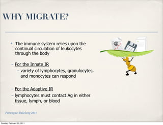 WHY MIGRATE?

          ✤
               The immune system relies upon the
               continual circulation of leukocytes
               through the body

          – For the Innate IR
             – variety of lymphocytes, granulocytes,
               and monocytes can respond

          – For the Adaptive IR
          – lymphocytes must contact Ag in either
            tissue, lymph, or blood

    Parungao-Balolong 2011


Sunday, February 20, 2011
 