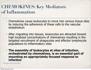 CHEMOKINES: Key Mediators
 of Inflammation
          ✤    Chemokines cause leukocytes to move into various tissue sites
               by inducing the adherence of these cells to the vascular
               endothelium
          ✤    After migrating into tissues, leukocytes are attracted toward
               high localized concentrations of chemokines resulting in the
               targeted recruitment of phagocytes and effector lymphocyte
               populations to inflammatory sites
          ✤    The assembly of leukocytes at sites of infection,
               orchestrated by chemokines, is an essential part of
               mounting an appropriately focused response to
               infection
    Parungao-Balolong 2011


Sunday, February 20, 2011
 