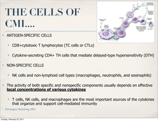 THE CELLS OF
     CMI....
 ✤    ANTIGEN-SPECIFIC CELLS

       ✤    CD8+cytotoxic T lymphocytes (TC cells or CTLs)

       ✤    Cytokine-secreting CD4+ TH cells that mediate delayed-type hypersensitivity (DTH)

 ✤    NON-SPECIFIC CELLS

       ✤    NK cells and non-lymphoid cell types (macrophages, neutrophils, and eosinophils)

 ✤    The activity of both specific and nonspecific components usually depends on effective
      local concentrations of various cytokines

       ✤    T cells, NK cells, and macrophages are the most important sources of the cytokines
            that organize and support cell-mediated immunity
     Parungao-Balolong 2011


Sunday, February 20, 2011
 