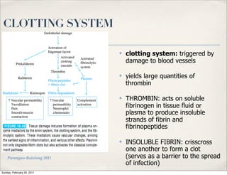 CLOTTING SYSTEM

                             ✤   clotting system: triggered by
                                 damage to blood vessels

                             ✤   yields large quantities of
                                 thrombin

                             ✤   THROMBIN: acts on soluble
                                 fibrinogen in tissue fluid or
                                 plasma to produce insoluble
                                 strands of fibrin and
                                 fibrinopeptides

                             ✤   INSOLUBLE FIBRIN: crisscross
                                 one another to form a clot
    Parungao-Balolong 2011       (serves as a barrier to the spread
                                 of infection)
Sunday, February 20, 2011
 