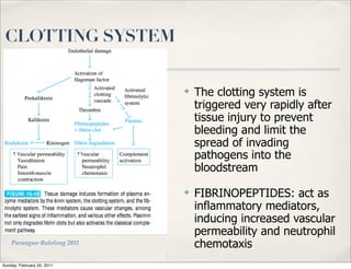 CLOTTING SYSTEM


                             ✤   The clotting system is
                                 triggered very rapidly after
                                 tissue injury to prevent
                                 bleeding and limit the
                                 spread of invading
                                 pathogens into the
                                 bloodstream
                             ✤   FIBRINOPEPTIDES: act as
                                 inflammatory mediators,
                                 inducing increased vascular
                                 permeability and neutrophil
    Parungao-Balolong 2011       chemotaxis
Sunday, February 20, 2011
 