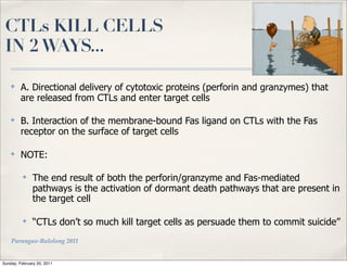 CTLs KILL CELLS
 IN 2 WAYS...

    ✤
         A. Directional delivery of cytotoxic proteins (perforin and granzymes) that
         are released from CTLs and enter target cells

    ✤
         B. Interaction of the membrane-bound Fas ligand on CTLs with the Fas
         receptor on the surface of target cells

    ✤
         NOTE:

          ✤
               The end result of both the perforin/granzyme and Fas-mediated
               pathways is the activation of dormant death pathways that are present in
               the target cell

          ✤
               “CTLs don’t so much kill target cells as persuade them to commit suicide”
    Parungao-Balolong 2011


Sunday, February 20, 2011
 