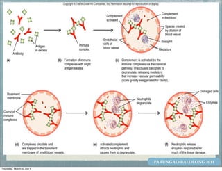 PARUNGAO-BALOLONG 2011
Thursday, March 3, 2011
 